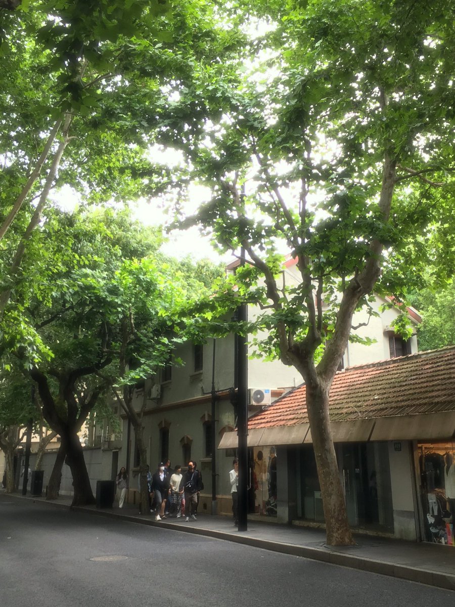 티미긩 tweet media