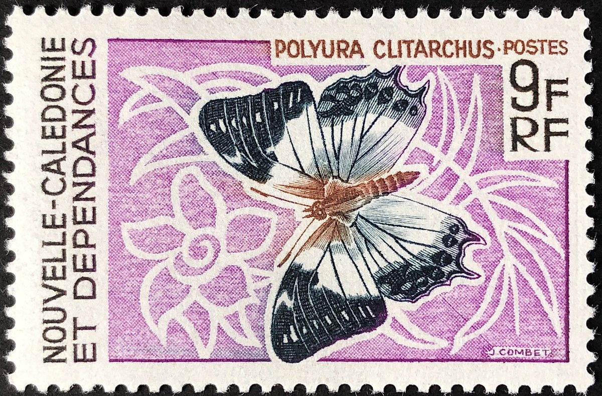 EngravedStamps's tweet image. Today’s #EngravedBeauty is this beautiful butterfly from 1968, the Polyura clitarchus, which can be found mainly in New Caledonia’s Loyalty Islands. I realized today that I had it in my stock book vertically and not horizontally. (I need to get the other stamps in this set.)