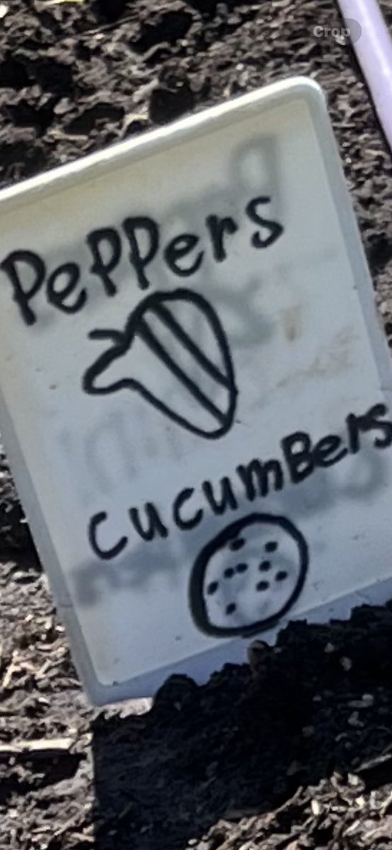 Way to Be STEAMY tweet media