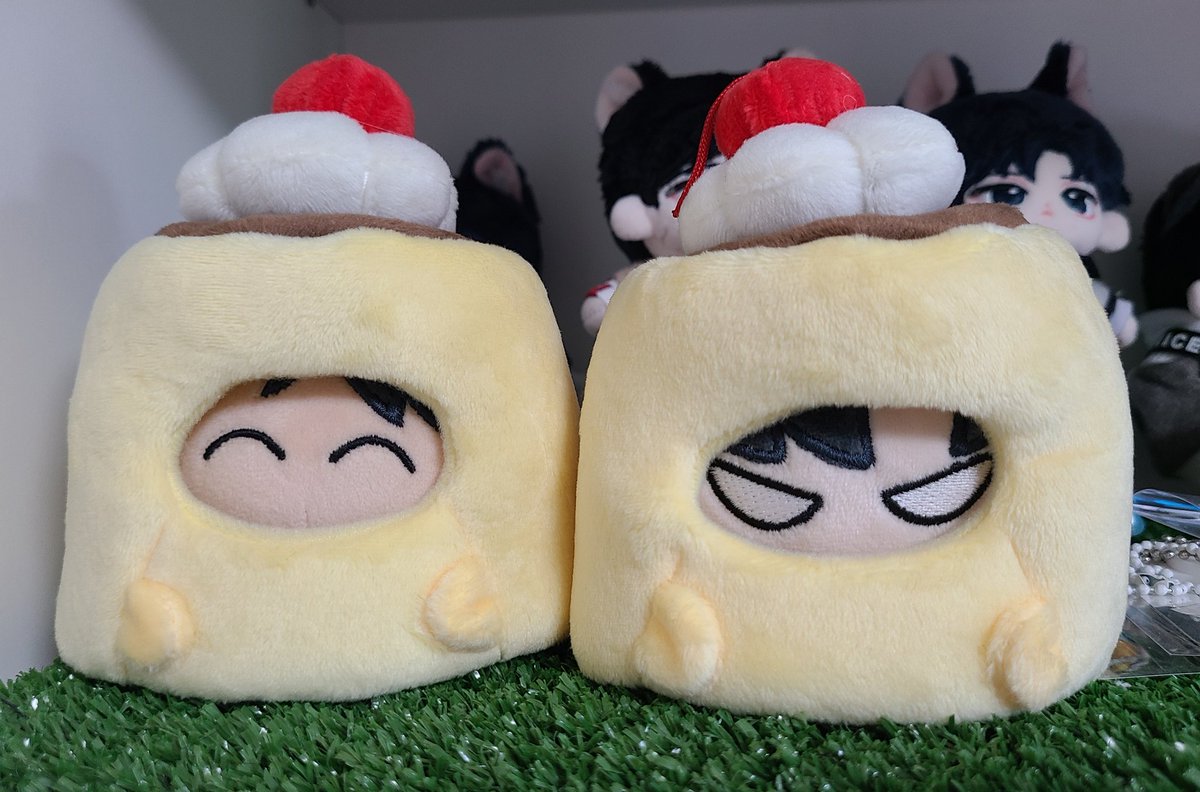 집에 같이 도착한 빵이 준이
무자비하게 푸딩 유령으로 만들었습니다 🍮💗