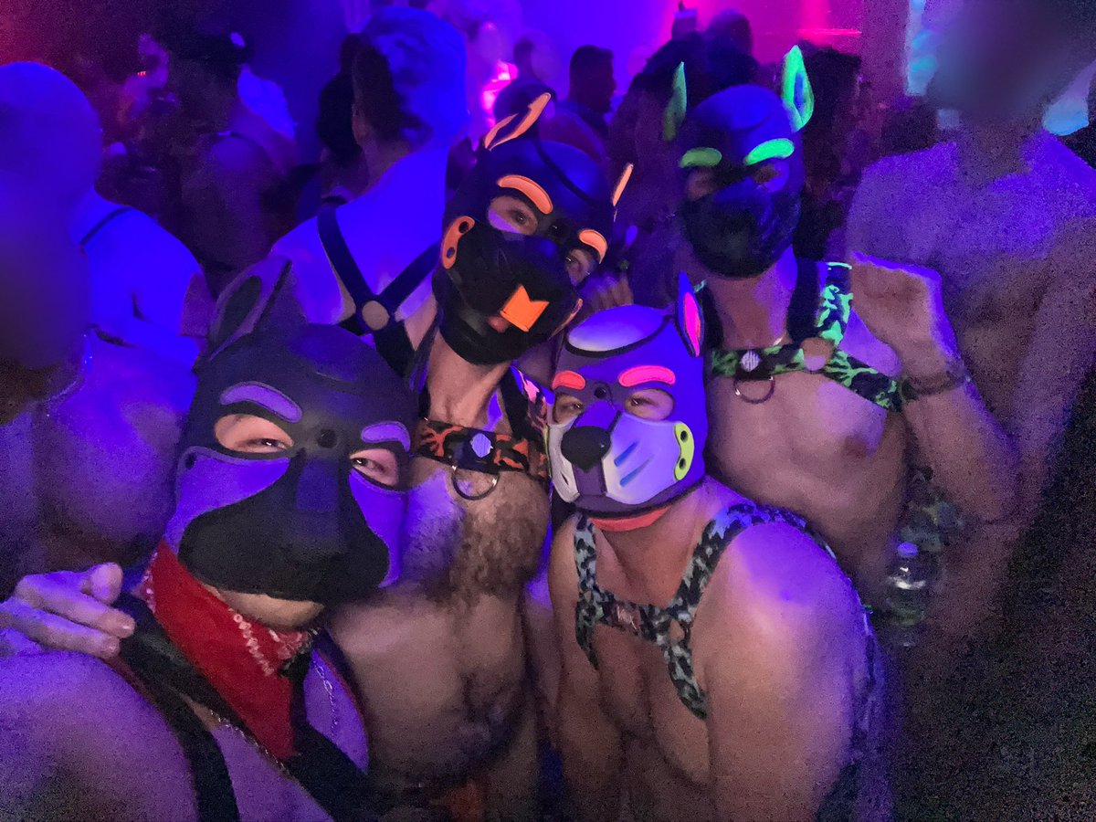 Look at all the new good boys I’m meeting 😍😍😍 <a href="/oz_leatherpup/">Pup Kaiden</a> @PupM0chi <a href="/firestorm86er/">Pup Storm ⛈️🐶</a> 

All good <a href="/MrSLeather/">Mr-S-Leather</a> hooded boys 🥹🥹🥹 🐶🐶🐶🐶 #gaypups #gaynz #gayaus