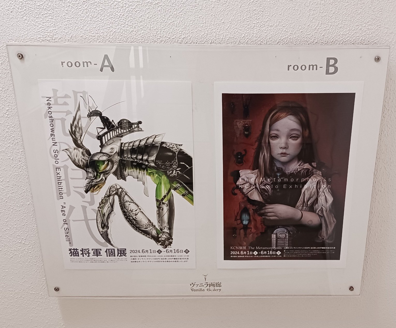 猫将軍原画