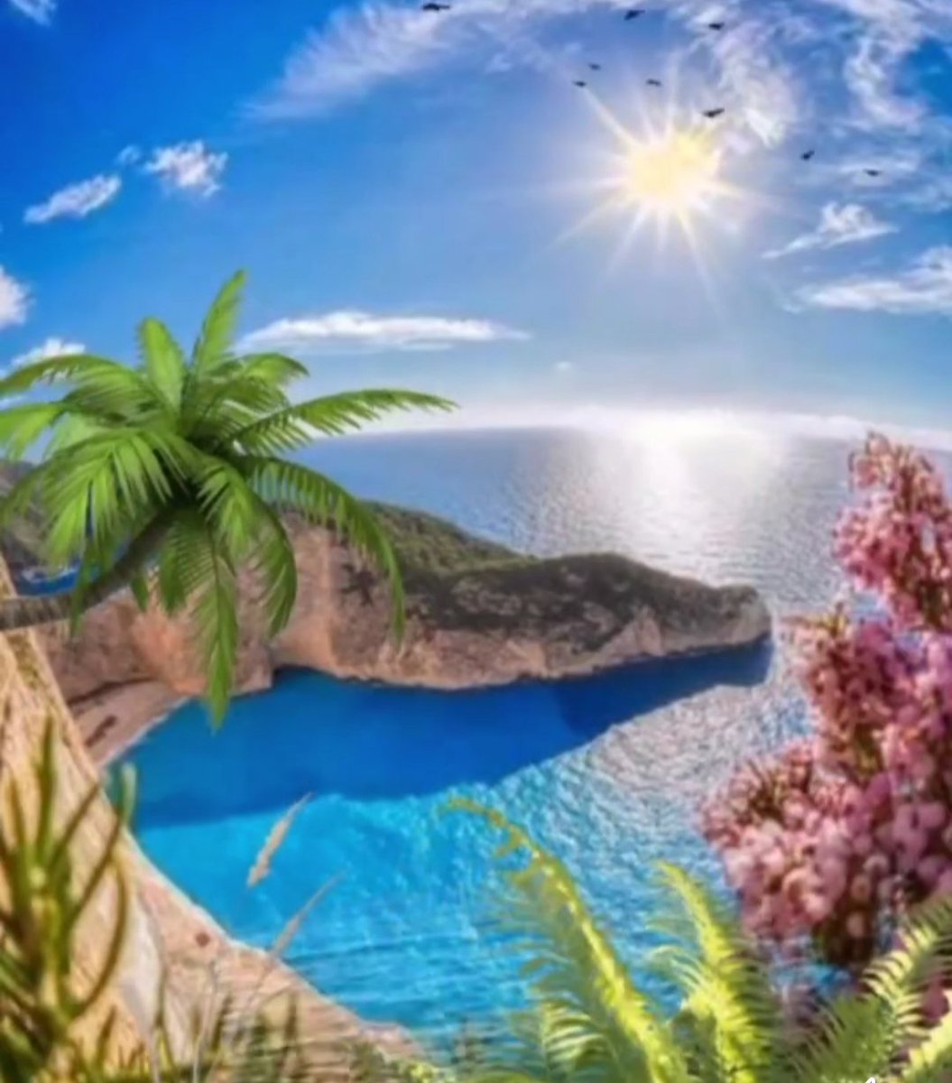 ~♥️🌹⭐️ZÜHR£⭐زوهره🌹🇹🇷 tweet media
