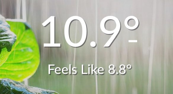 christine4682's tweet image. Nothing beats the cold than sitting In front of the fire in your warmest jumper or pjs 🤣🔥😁

#jackrussell #jackrussellterrier #jackrussellsofinstagram #dinosaur #logfire #logfires #fireplace #sittinginfrontofthefireplace #doglife #doglifestyle