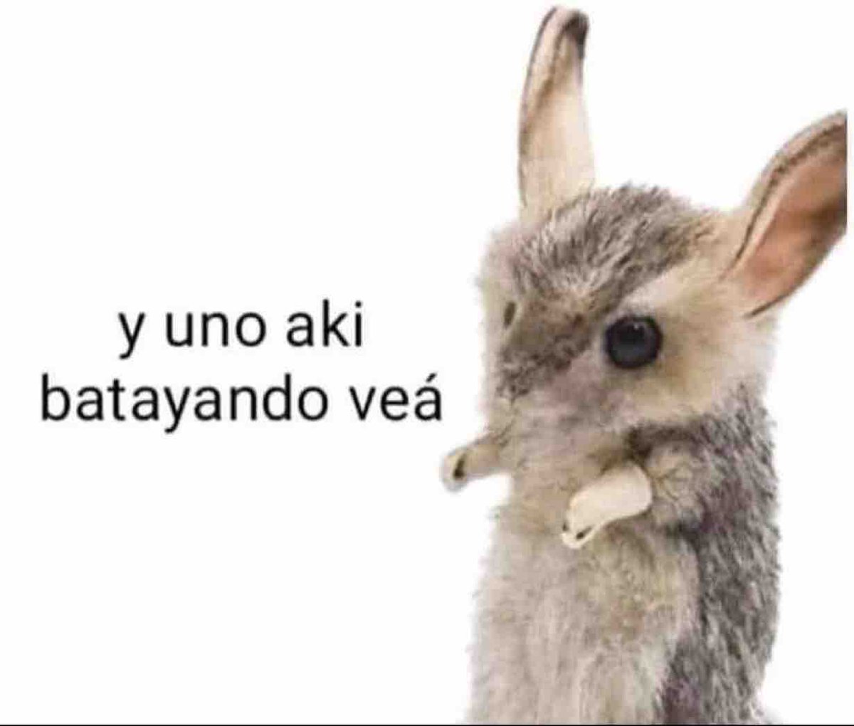 *Me da un ataque de ansiedad*

Mi familia: Pues ya no pienses en esas cosas.

Yo: