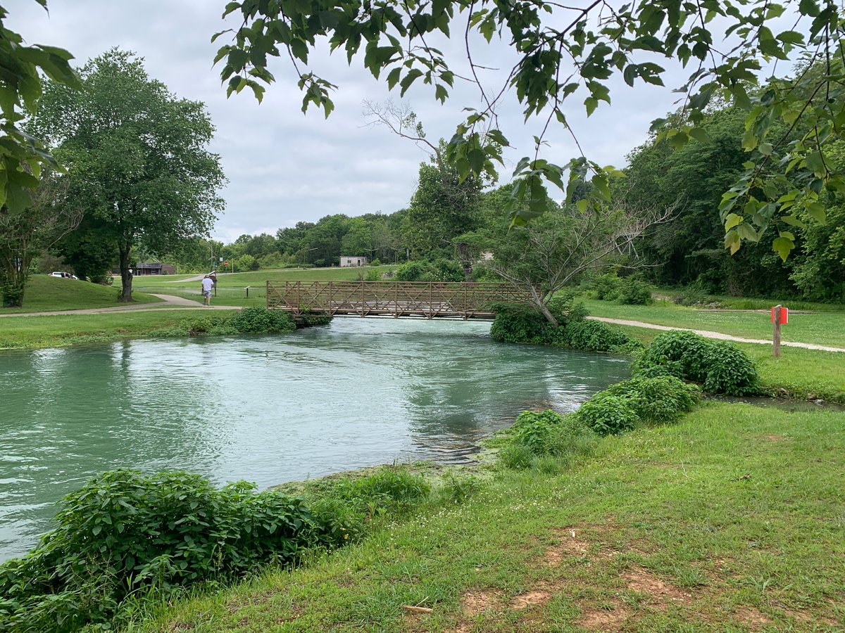 ms_alam03's tweet photo. Visited the stunning Mammoth Spring, the source of the beautiful Spring River! The crystal-clear water and serene surroundings made for an unforgettable experience. Nature at its best! #Travel #Nature #SpringRiver #MammothSpring https://t.co/gxQpSGT94A