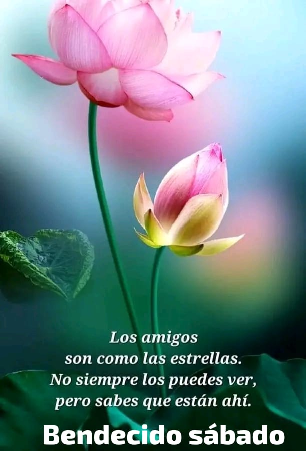 ╦═╗
║╣OllOW ➡️
╩ 
#LosAmigosDeLaLeona 🦁💞 
<a href="/Lea_Dhai/">🐥𝒫𝓇𝒾𝓃𝒸𝑒𝓈𝓈 ℒ𝑒𝒶𝒽 ⭕️130 K👑</a>
<a href="/Luccy_007/">Lucy</a> 
<a href="/Fany_2123/">@Fany</a> 
<a href="/Pu_quis/">Puquis</a> 
<a href="/PatyTmUs/">Paty</a>
<a href="/Rosy_453/">Rossana</a>
<a href="/Dinorah055/">Dinorah 🌿🌹🌿</a>
<a href="/LoreTmUs/">Lorena</a>
<a href="/ClasXalapa/">Michelle</a>
<a href="/Cecy_1Mex/">Cecy</a>
<a href="/Riana_077/">Ríana_077</a>
<a href="/Karina22_DF/">Karina ✍️</a>
<a href="/BrisaM01/">Brisa</a>
<a href="/iGy_nna/">Gina</a>
<a href="/RosasVivianne/">Vivi</a> 
<a href="/Selop_/">Sebastián 🛫</a>
<a href="/SergioR_DGZ/">Sergio</a>
<a href="/LeonaMarielah/">MarielaDeSonora</a>

🅰️#DinastíaMilenials