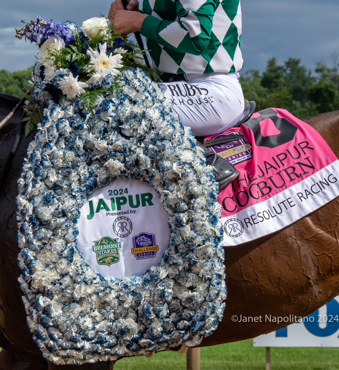 jmg27_janet's tweet photo. COGBURN and @iradortiz in the Gr1 Jaipur Stake for Steve Asmussen @BreedersCup #winandyourin https://t.co/XHTNIBISfK