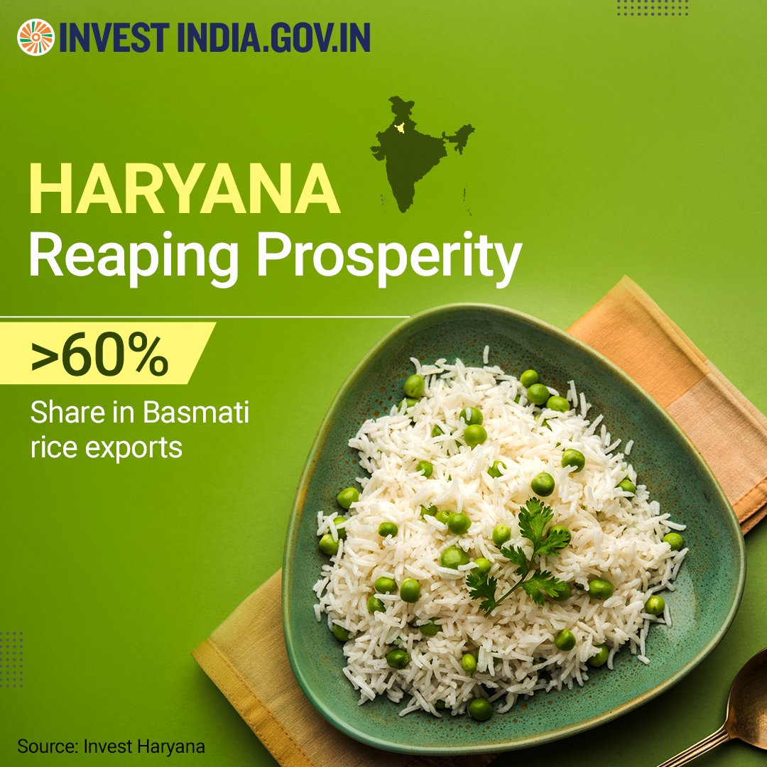investindia's tweet photo. From pulao to biryani, #Haryana's #basmati rice is used worldwide for its fragrant aroma, refined grains &amp; quality, making the state ideal for food enterprises setting up a base in India. 🌾🍚

Discover more: https://t.co/2c7VPgEO5j

#InvestInHaryana #InvestInIndia @AgriGoI https://t.co/9ypoNbhWy1