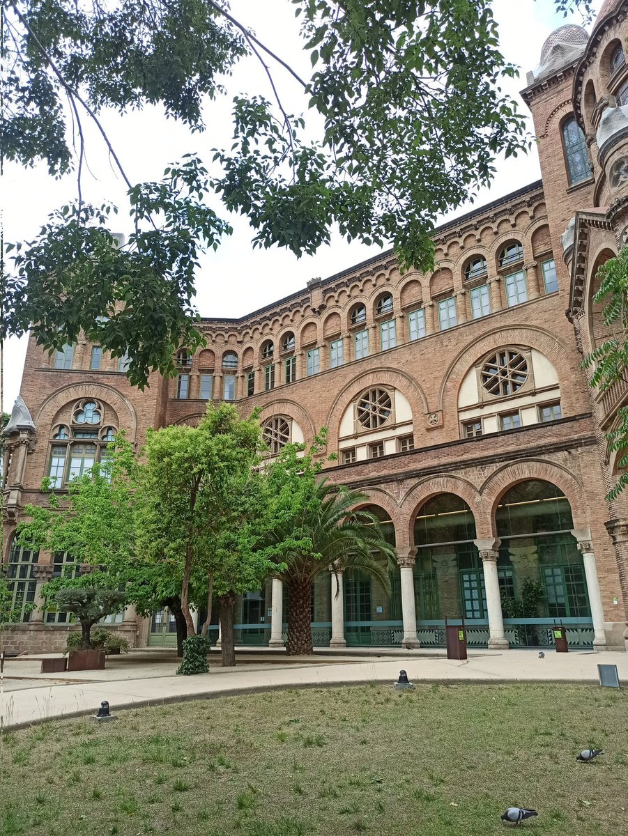 QuantumGrain tweet media