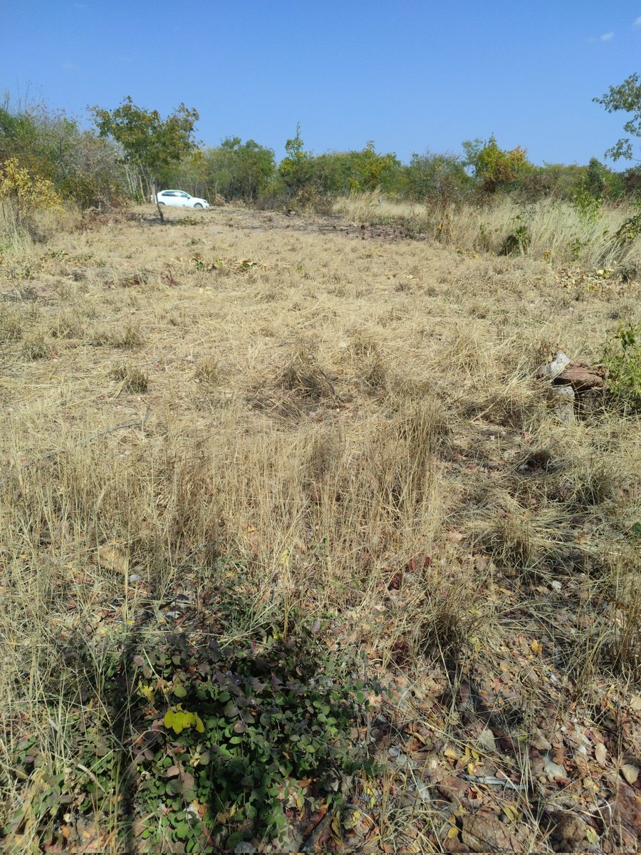 Clayton__Knight's tweet photo. Good afternoon to you fellow residents of #TwitterMaPlot.
Kuno ku Hillview in Kafue, we have started on The wall fence foundation on a ka lousy 1 acre.
Ba dependent, do you know that the owner of the house will be back from after church ice cream. I hope mwa pyanga ka. https://t.co/nk1d09voGu