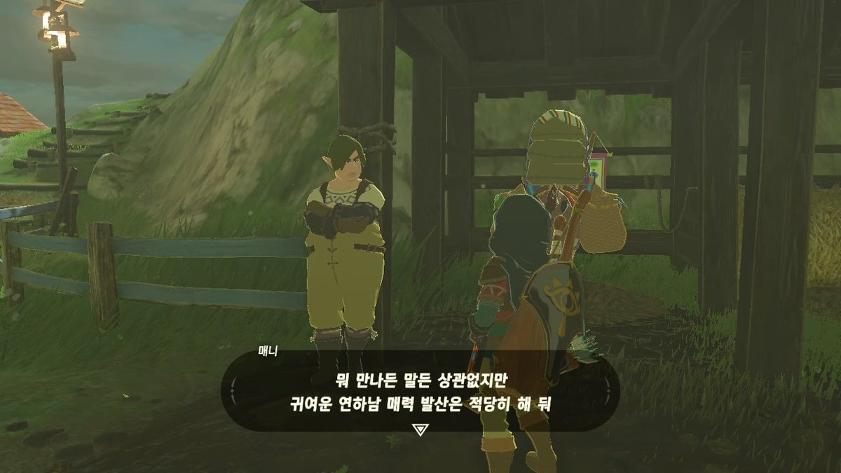 SW1THCH's tweet photo. #BreathoftheWild #NintendoSwitch https://t.co/P6VSuYN6iv