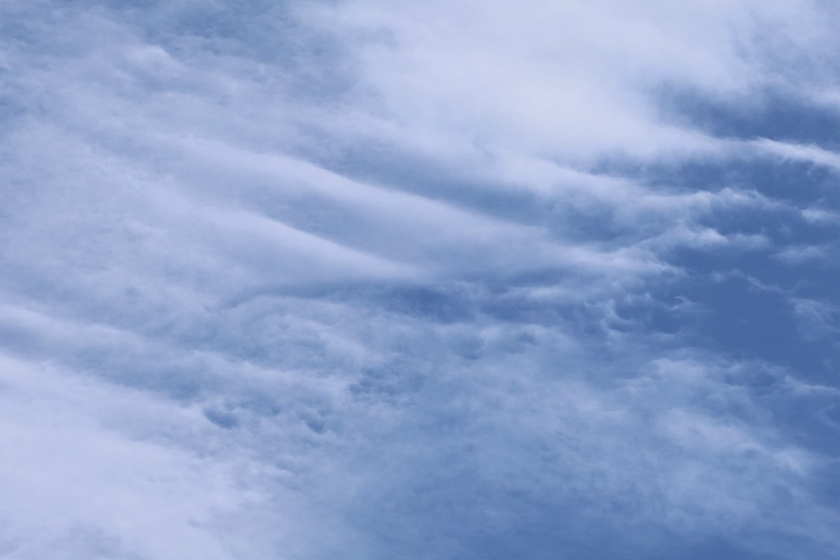 Yarrowman1's tweet image. “Looking at the big sky”🎶
