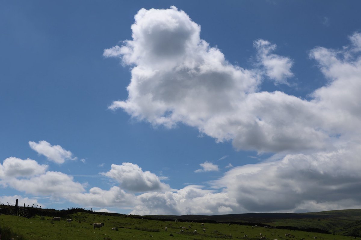 Yarrowman1's tweet image. “Looking at the big sky”🎶
