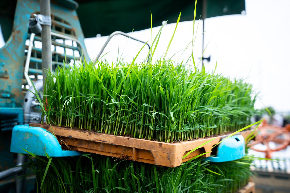 Sake On Air tweet media