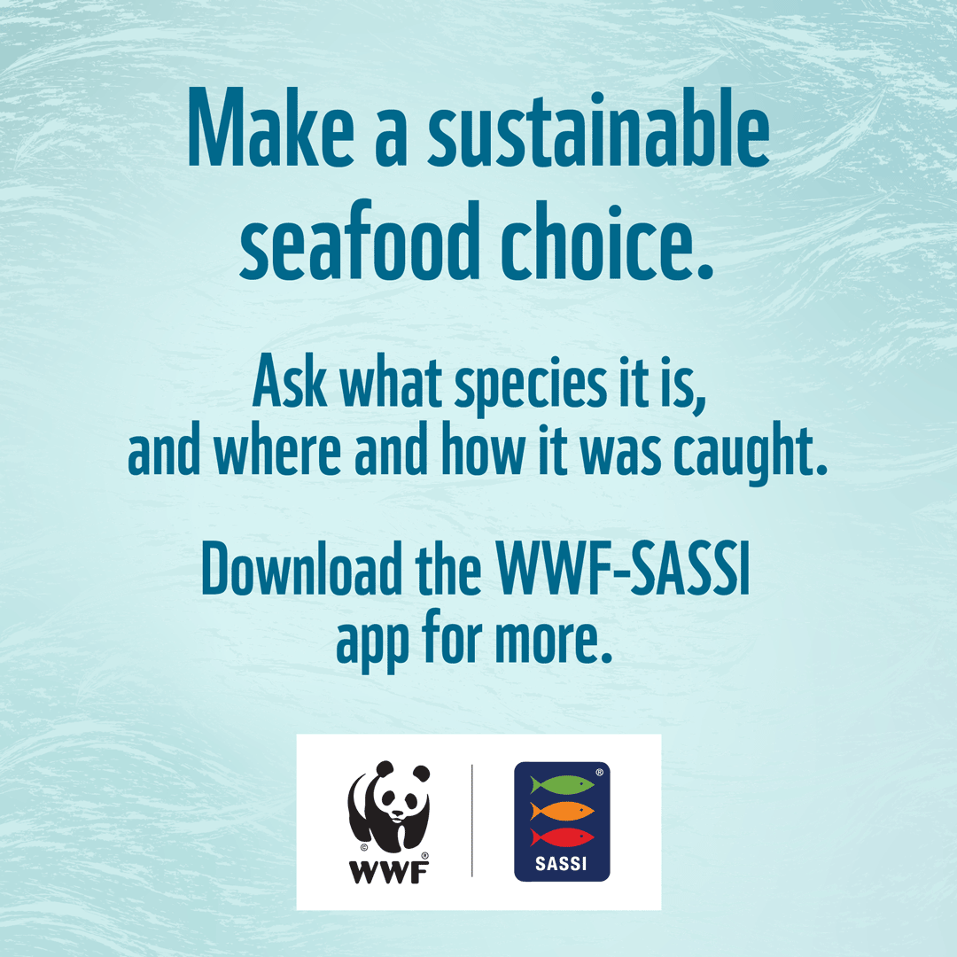WWFSouthAfrica's tweet photo. Check your seafood's source using WWF-SASSI's fishID app to look for green-listed options! 🐠💚
#SustainableSeafood #KnowYourFish #OceanConservation https://t.co/sB9ABUuDwT