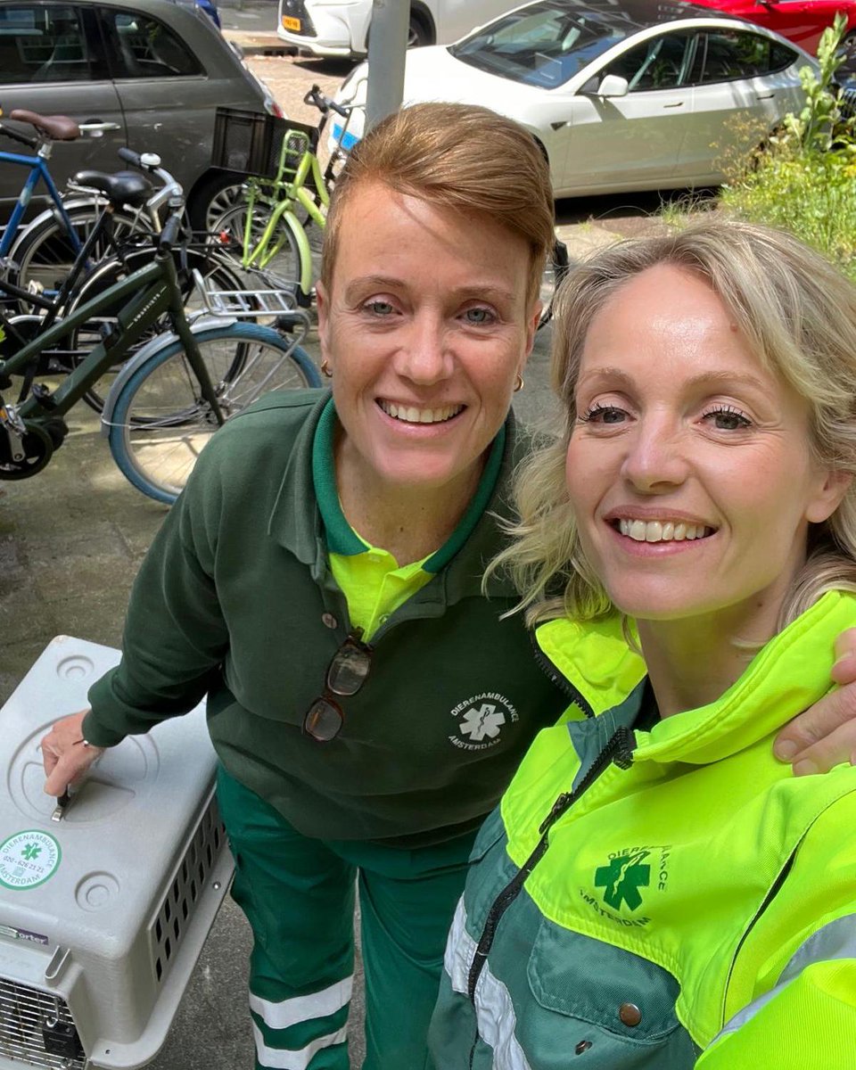 Dierenambulance Amsterdam tweet media