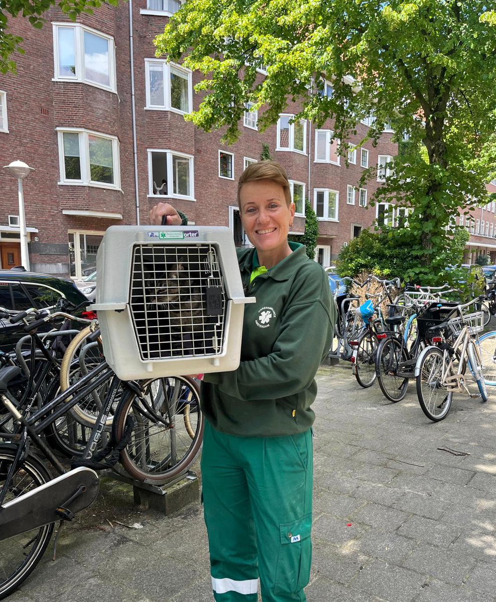 Dierenambulance Amsterdam tweet media