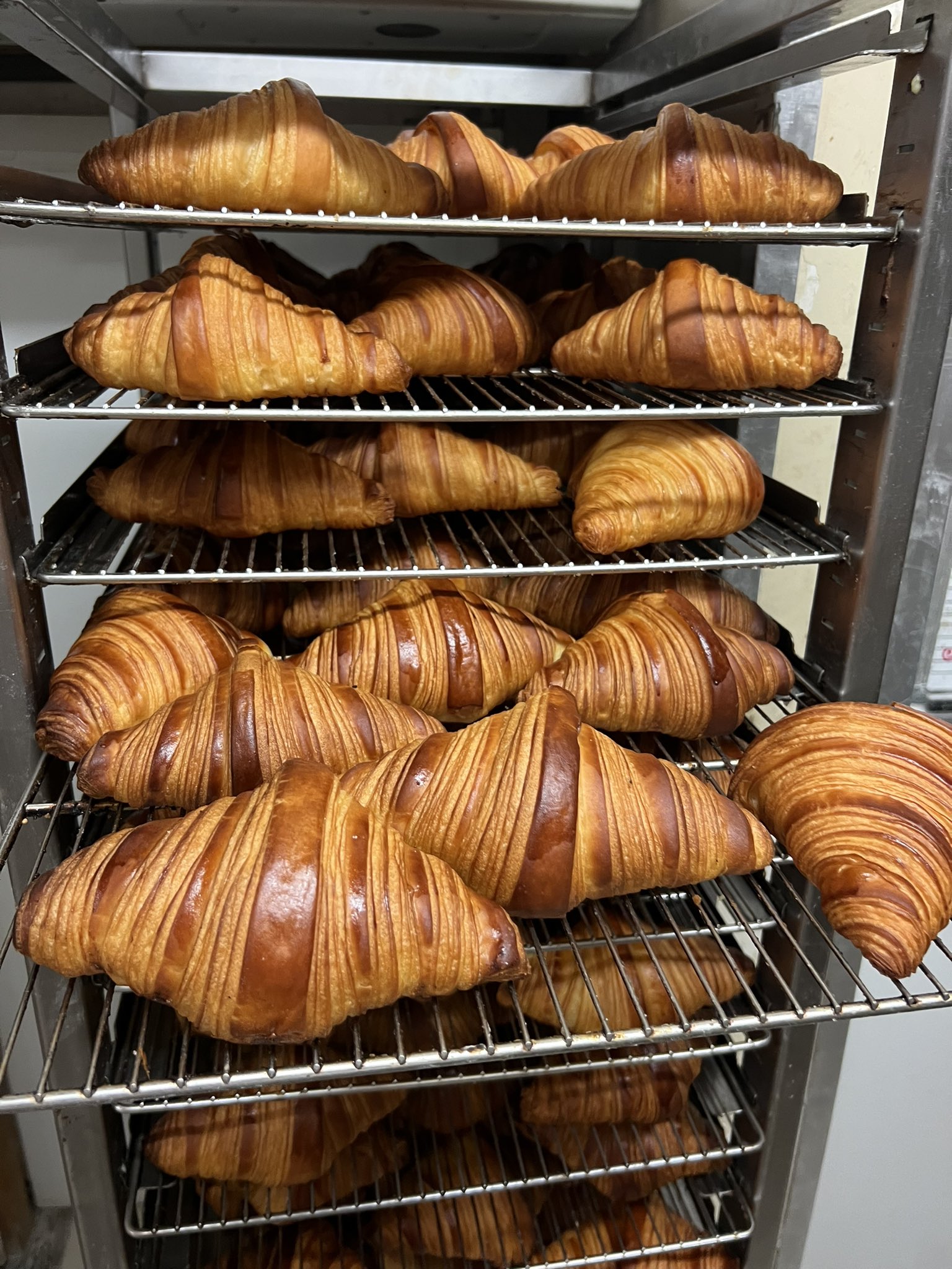 Daiki Matsuyama (@ronral7) / X