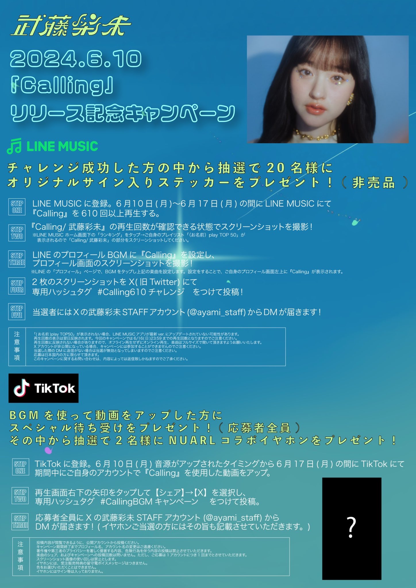 かっちゅう様専用ページ ぬまぞう様専用ページ 佐竹義宣公の甲冑「人色皮包仏胴黒糸縅具足」等