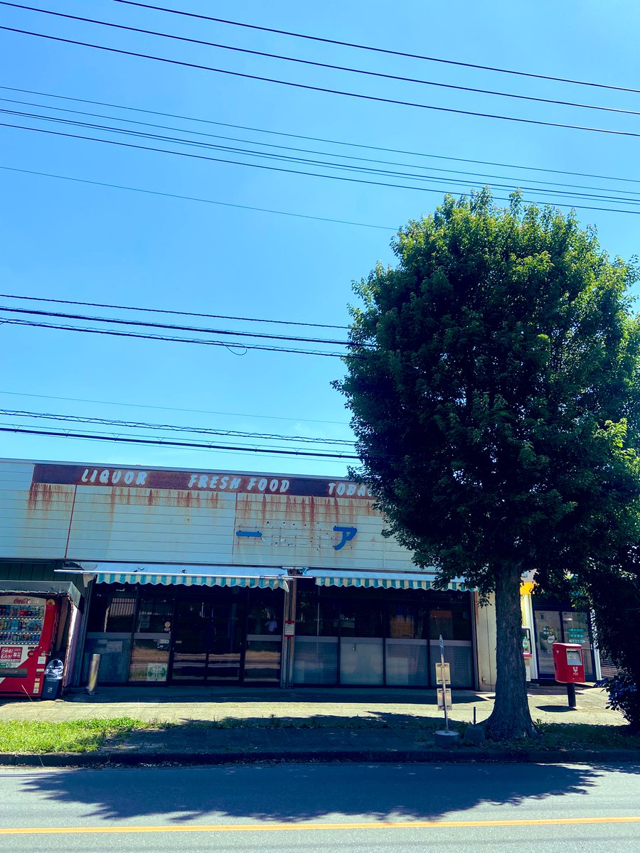 sjdc1228's tweet photo. Sunday morning in Tsukuba ✨🇯🇵 https://t.co/mBI8bIUCU5