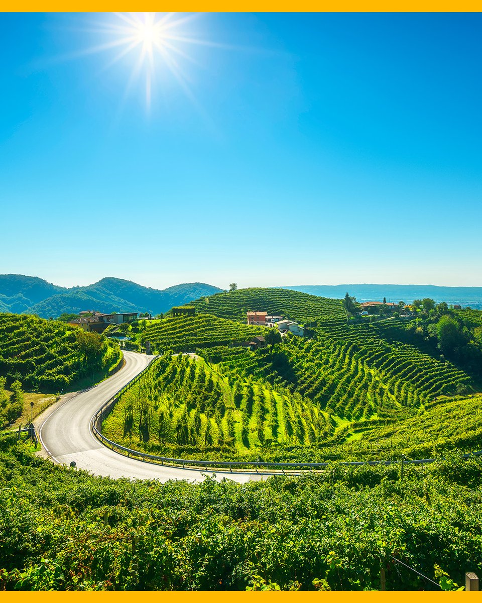 Agea_gov's tweet photo. L'#agricoltura è cuore pulsante della nostra identità territoriale.
Dal paesaggio agreste alle tavole delle famiglie, l'agricoltura plasma la nostra #cultura e promuove la #coesione sul #territorio.
#Agea #Ageagov https://t.co/n4lEbPaHHk
