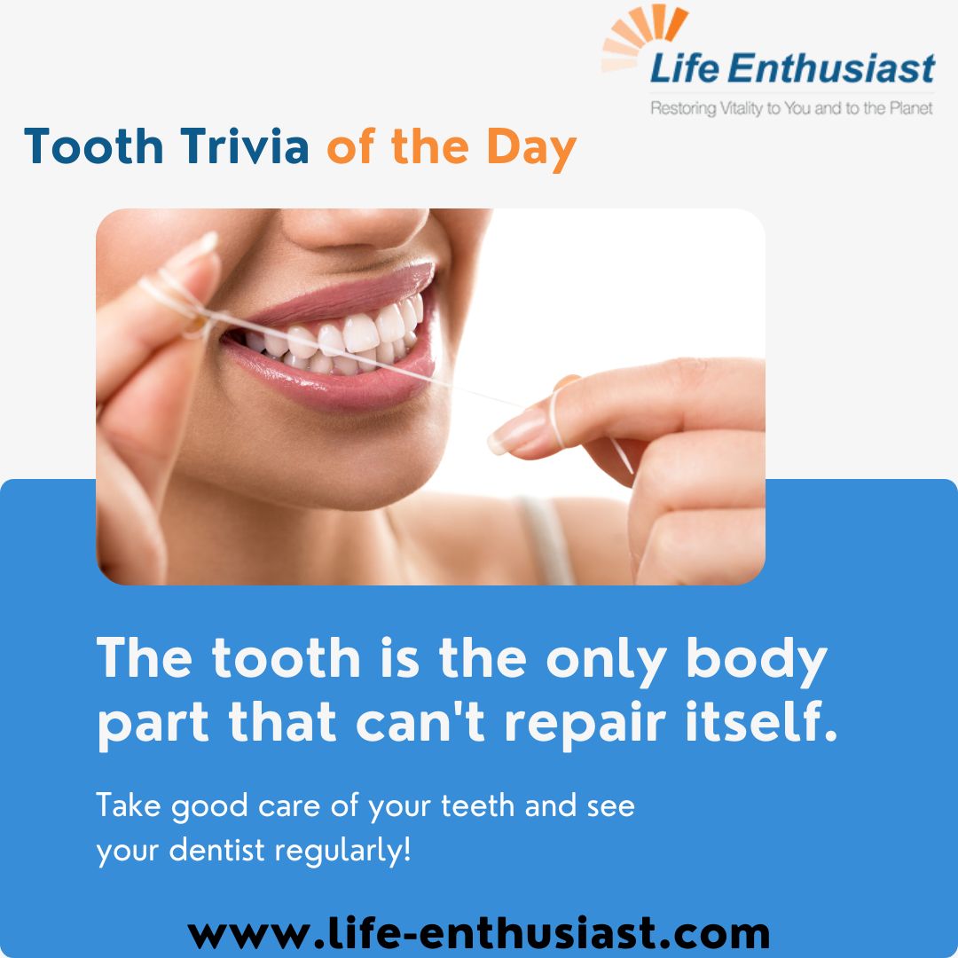 lifentco's tweet image. Tooth Trivia of the Day

Visit our website: rfr.bz/tlkap6g

#ToothTrivia #UniqueTeeth #DentalFacts #FunFact #SmileFact #DidYouKnow #DentalHealth #TeethFacts #FunDentistry #TriviaTuesday #KeepSmiling