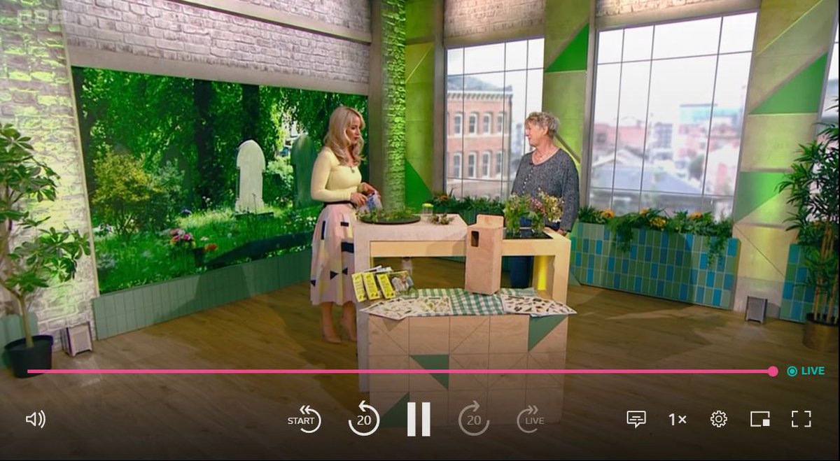 Caring for Gods Acre (@godsacre) on Twitter photo Happening right now!
Harriet chatting with Holly on BBC Sunday Morning Live about recording wildlife during Love your Burial Ground Week !
#NationalCemeteriesWeek
#ChurchesCountOnNature is a partnership between ourselves <a href="/ChurchinWales/">The Church in Wales | Yr Eglwys yng Nghymru</a> <a href="/ARochaUK/">A Rocha UK</a> <a href="/CofEEnvironment/">Church of England Environment Programme</a> 🙌 Happening right now!
Harriet chatting with Holly on BBC Sunday Morning Live about recording wildlife during Love your Burial Ground Week !
#NationalCemeteriesWeek
#ChurchesCountOnNature is a partnership between ourselves <a href="/ChurchinWales/">The Church in Wales | Yr Eglwys yng Nghymru</a> <a href="/ARochaUK/">A Rocha UK</a> <a href="/CofEEnvironment/">Church of England Environment Programme</a> 🙌