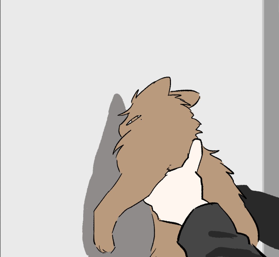 장래히망 (@keomsyeongye3) on Twitter photo 