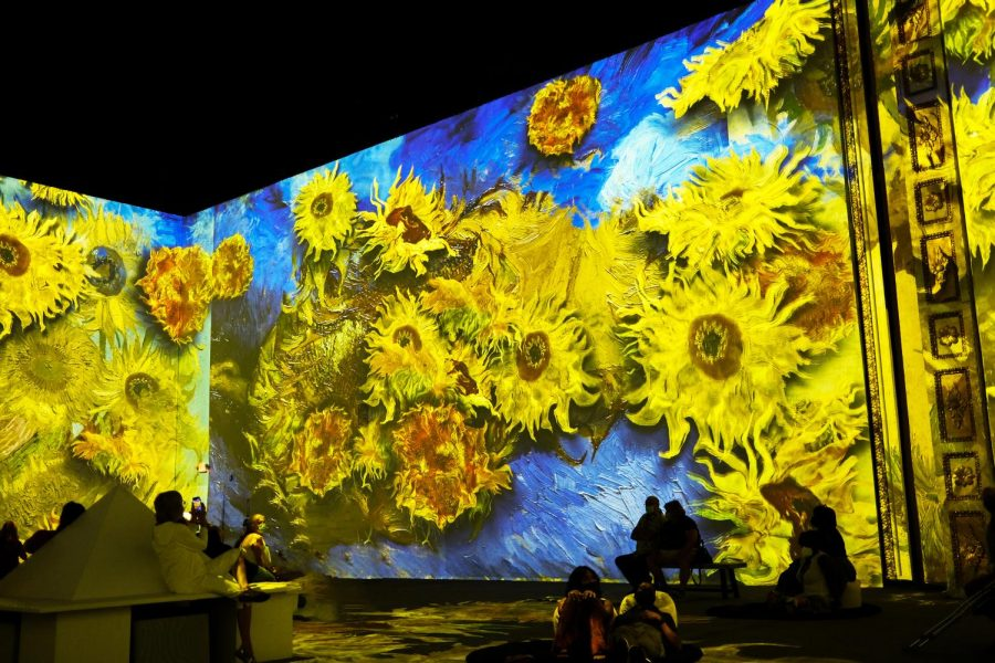 SUNFLOWER 🌻 tweet media