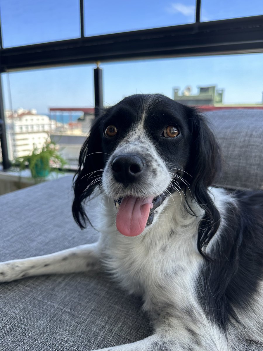 Ne istiyosunuz bizden #sanlıurfadakatliamvar