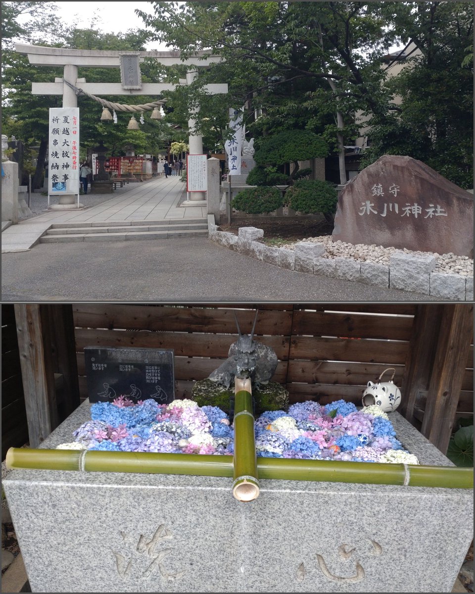 miijii3's tweet photo. 川口市の鎮守氷川神社さまを参拝し、春の色（緑）の須佐之男命（スサノオノミコト）さまの御朱印を拝受しました😀

#鎮守氷川神社
#須佐之男命
#御朱印　#花手水 https://t.co/Vn9Qi7kM2Z