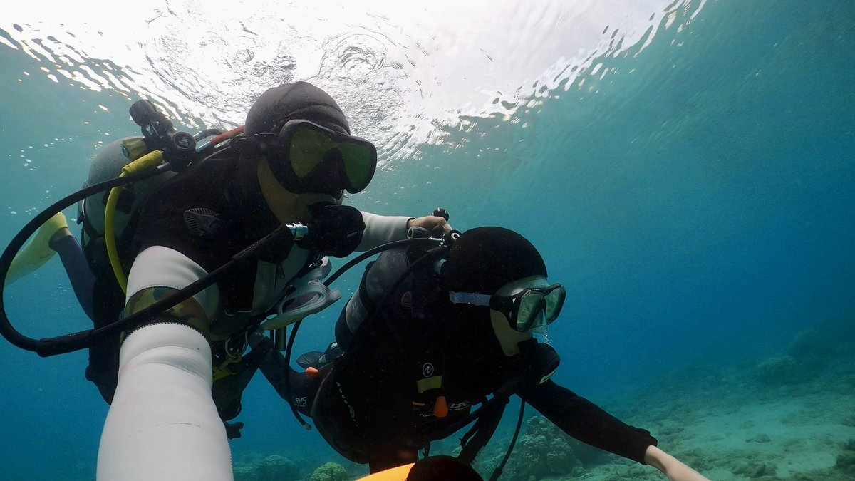 ゼログラヴィティ奄美大島 tweet media