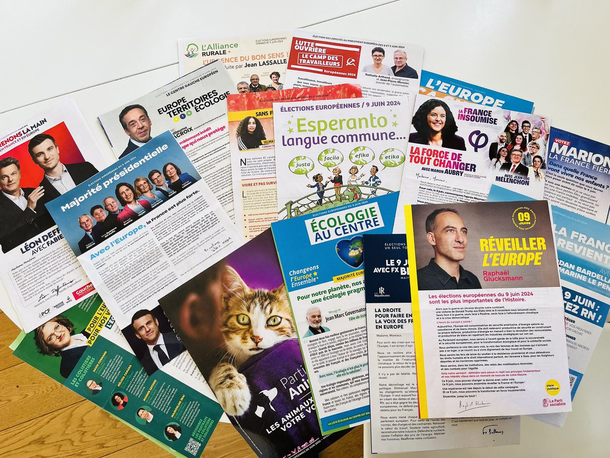 European elections represent the 2nd largest democratic elections on earth. As a German in France, I am given the privilege to give my vote to their MEPs. A host of options &amp; unknown choices &amp; it was a great opportunity to read up on programmes without prior convictions 🤩