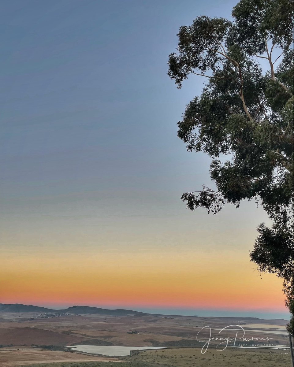JennyPaPB's tweet photo. Piketberg says hullo!

Dawn infused landscape greets the start of a new day of flower hunting &amp; identifying. Thanks @CREWCitSciZA for a wonderful weekend of #wildflower wonder, #iNaturalist &amp; new friends

#wildflowers #conservation #reddatalist #ecology #biodiversity #botanising https://t.co/AWuW8OHPNB