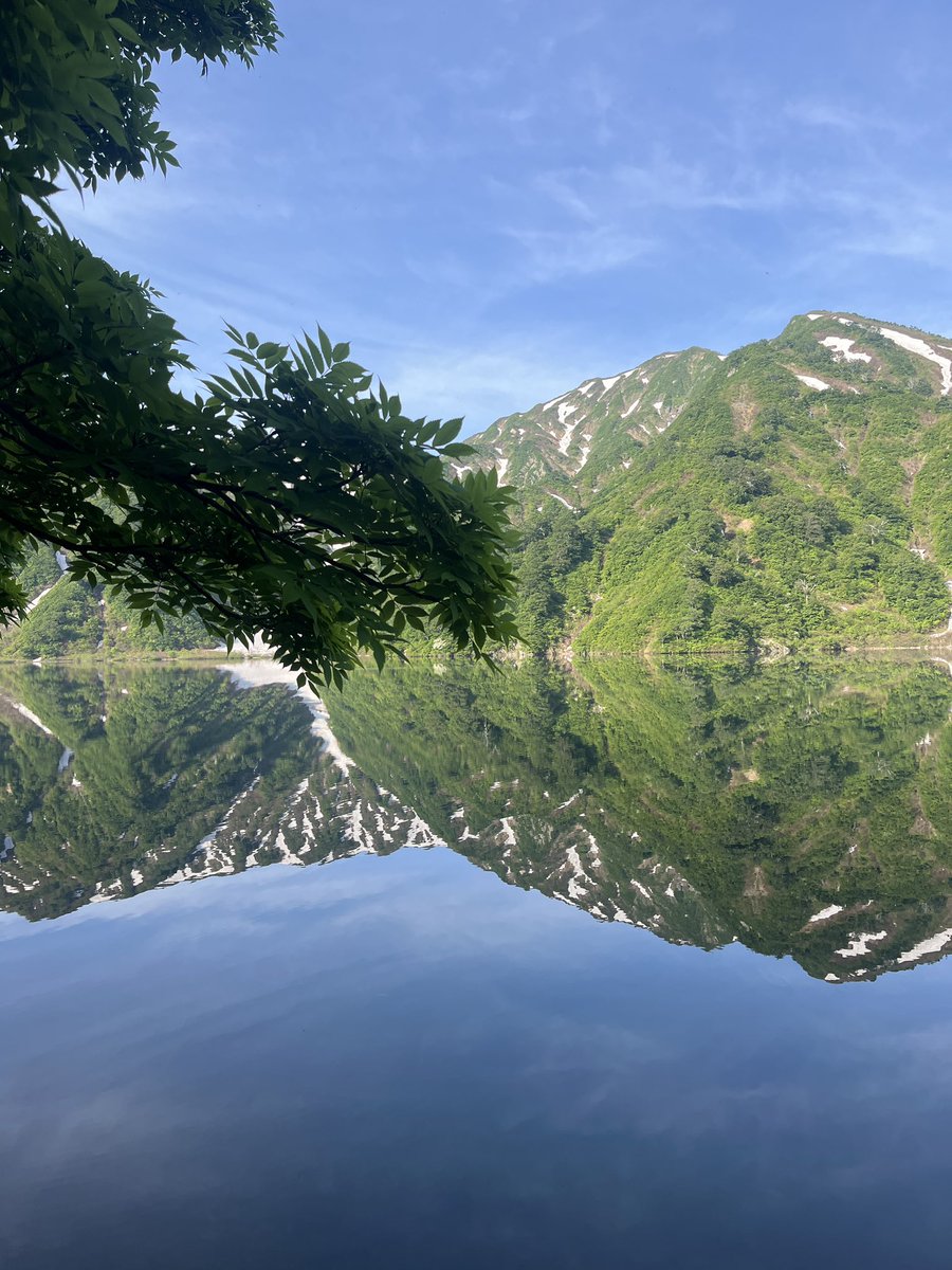 woodbirdstore's tweet photo. #大鳥池
#タキタロウ https://t.co/2TlsSTjH77