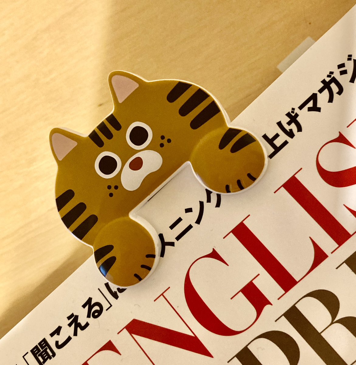 mina06259's tweet photo. He is a new addition to our team #jittome https://t.co/5bWd1ZGaNF
