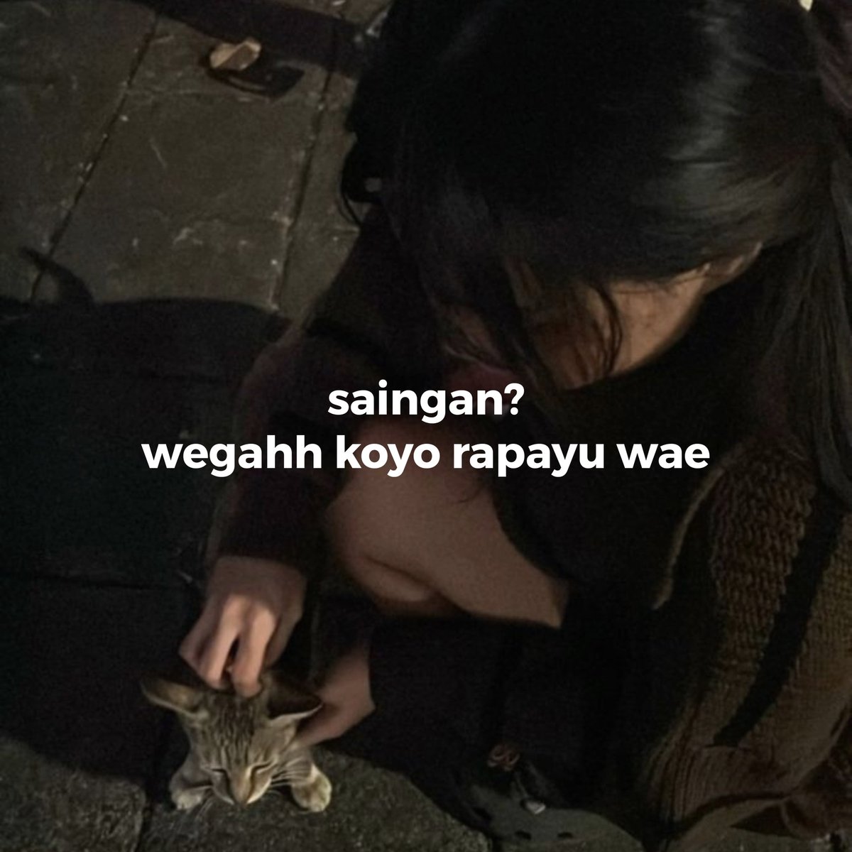 ajurmumurr's tweet image. 