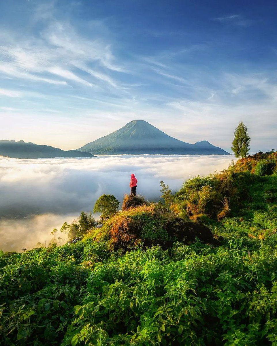 Lagi scroll Ig tiba-tiba nemu fotonya @adityakurniawanpp

Jadi keinget kalo ini sudah masuk musim panas di Dieng. Naik gunung seru kali ya. Siapa mau?

Jangan lupa nginepnya di Tani Jiwo ya. 

#tanijiwo #dieng #gunung #wisata #landscape #mountains #Reposted #fypシ