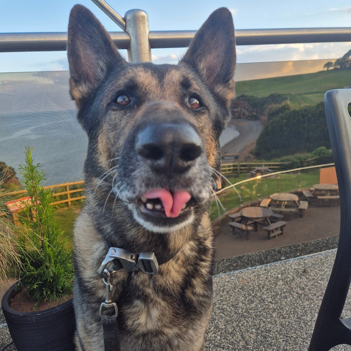 RPD_Logan tweet media