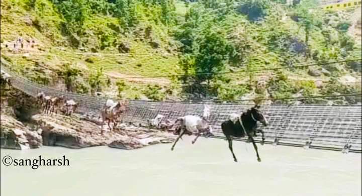 Shankar72248842's tweet photo. कठै मेरो देश !
सुदूरपश्चिम अछाम र कर्णाली दैलेख जोड्ने चिल्ताडा झोलुङ्गे पुलको लडा चुडिँदा पुलमा च्यापिएका खच्चरहरू !
#Achham #Dailekh #Karnali #khemaz #Jholunge #bridge https://t.co/eq5M7NuWlR