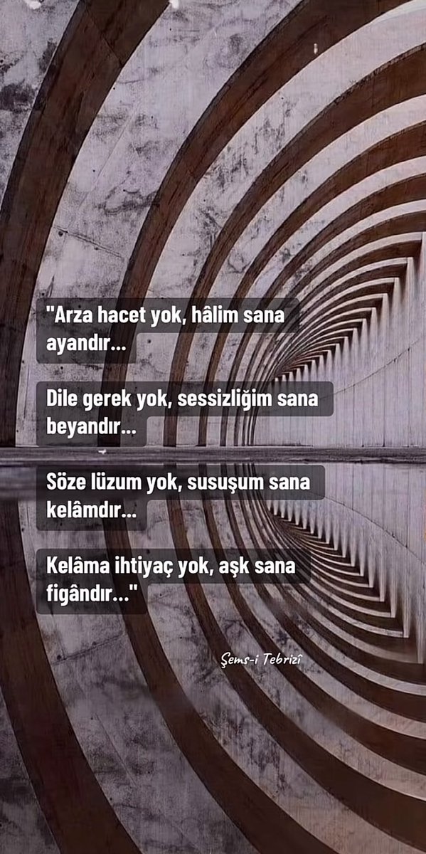 ali yalman (@baskanaliyalman) on Twitter photo 