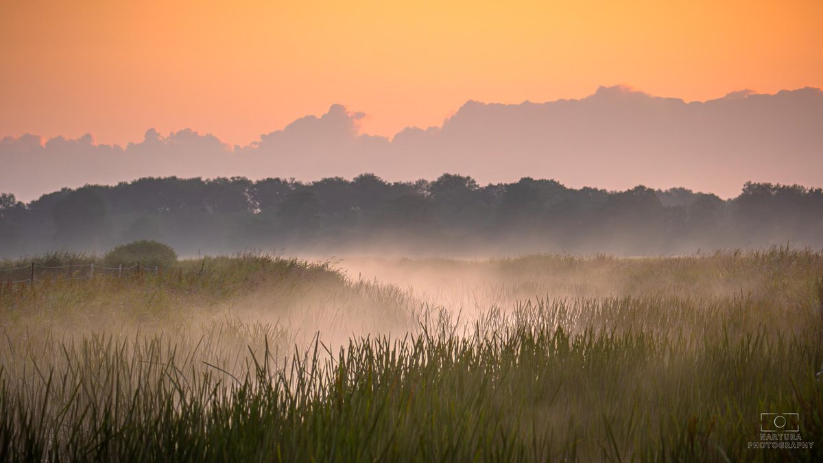 #Goedemorgen  nog voor zonsopgang uitkijkend over het gelaagde landschap bij de Vledder Aa. De mist zorgt voor een mystieke morgen.
Het water van de Aa dat warmer is dan de buitenlucht hult haar in nevels.

<a href="/WDODelta/">Waterschap Drents Overijsselse Delta</a> mooi dat Aa wat meer mag begroeien💕