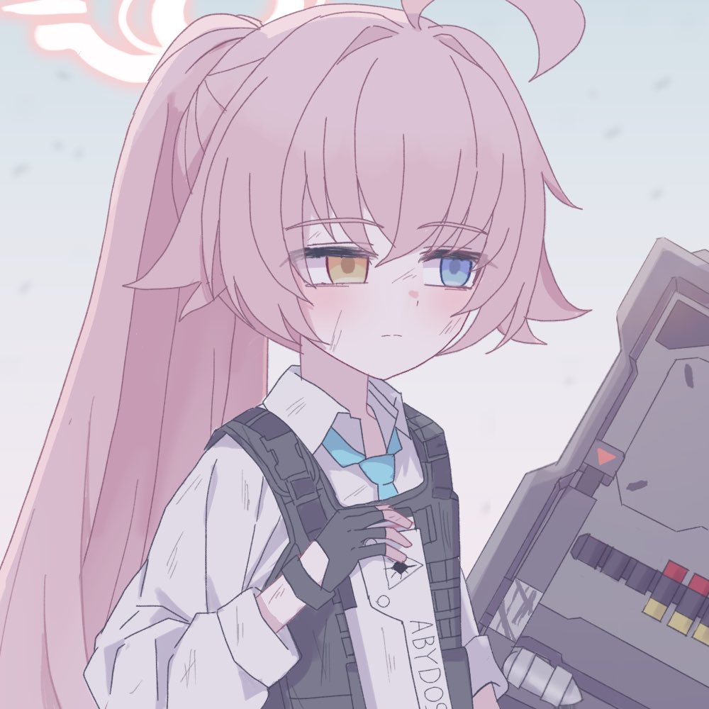 ホシノブルーアーカイブ】Reバース PP ホシノ ブルーアーカイブ