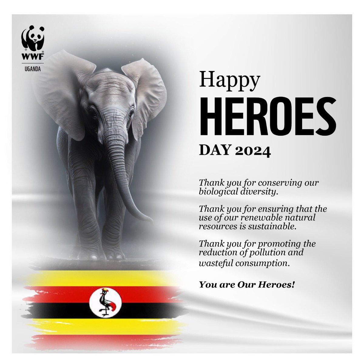 realhappyali's tweet photo. Happy Heroes Day to you all my people 💪💪 https://t.co/vzw7Pp5eml