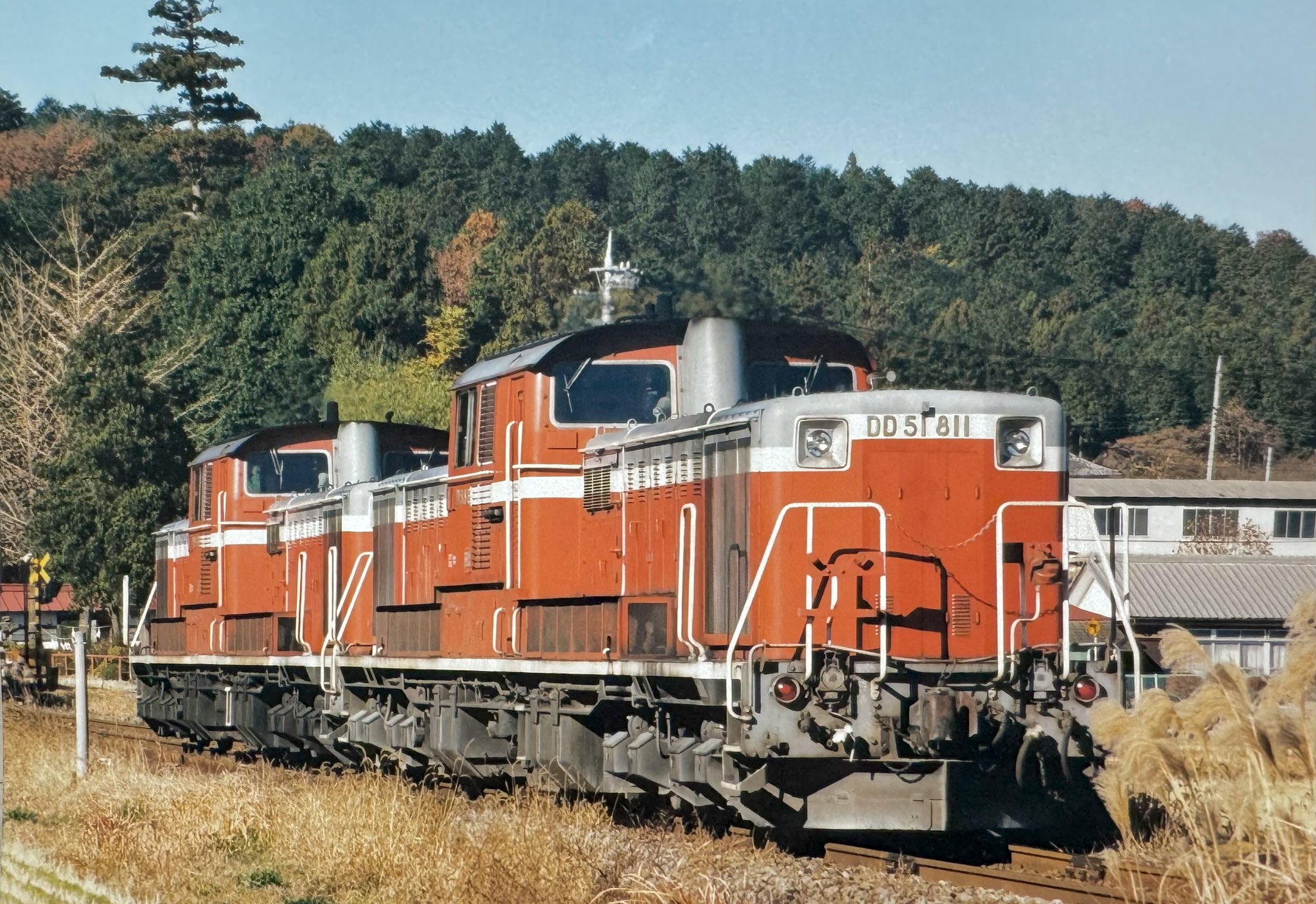 トレインDD on X: 