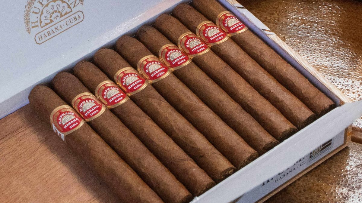 Dad's the word! - mailchi.mp/gauntleys.com/…