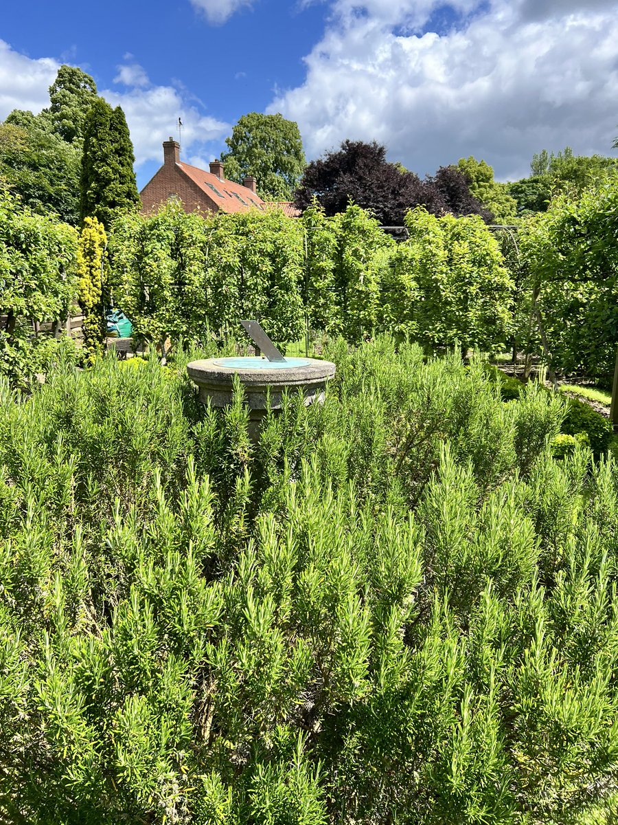 Lisa Ballantine tweet media