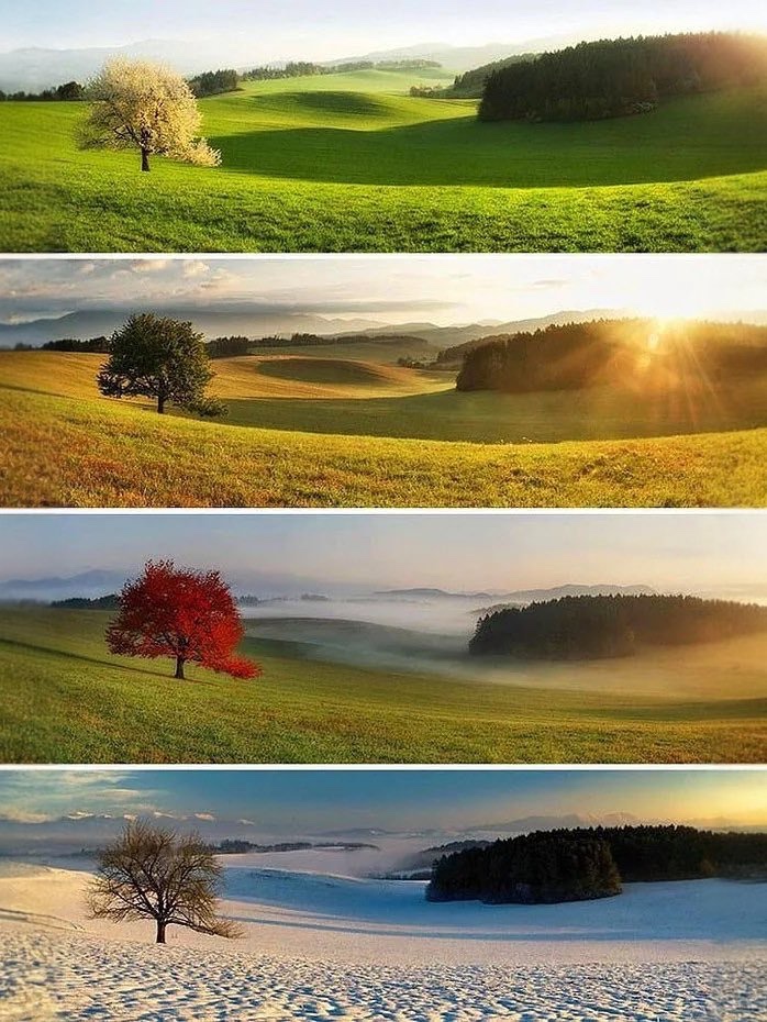 Matt_Pinner's tweet photo. Which season do you like the most?

                            Summer🏖️

                            Spring🌸

                            Autumn🍂

                            Winter❄️ https://t.co/J6qpVeZ0f8