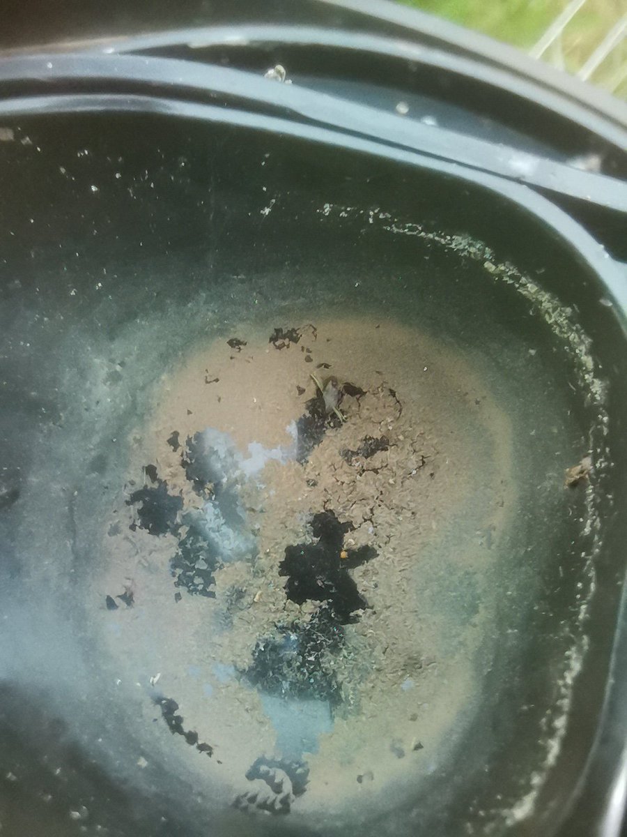 AutanTramontane's tweet photo. 🚿 Nettoyage obligatoire ce matin de la #DavisVP2 de Castres #Tarn après les petites pluies de la veille, chargées de particules de poussières désertiques 🏜️ @infoclimat
https://t.co/i92skgdeMW https://t.co/zajgmWlVxg